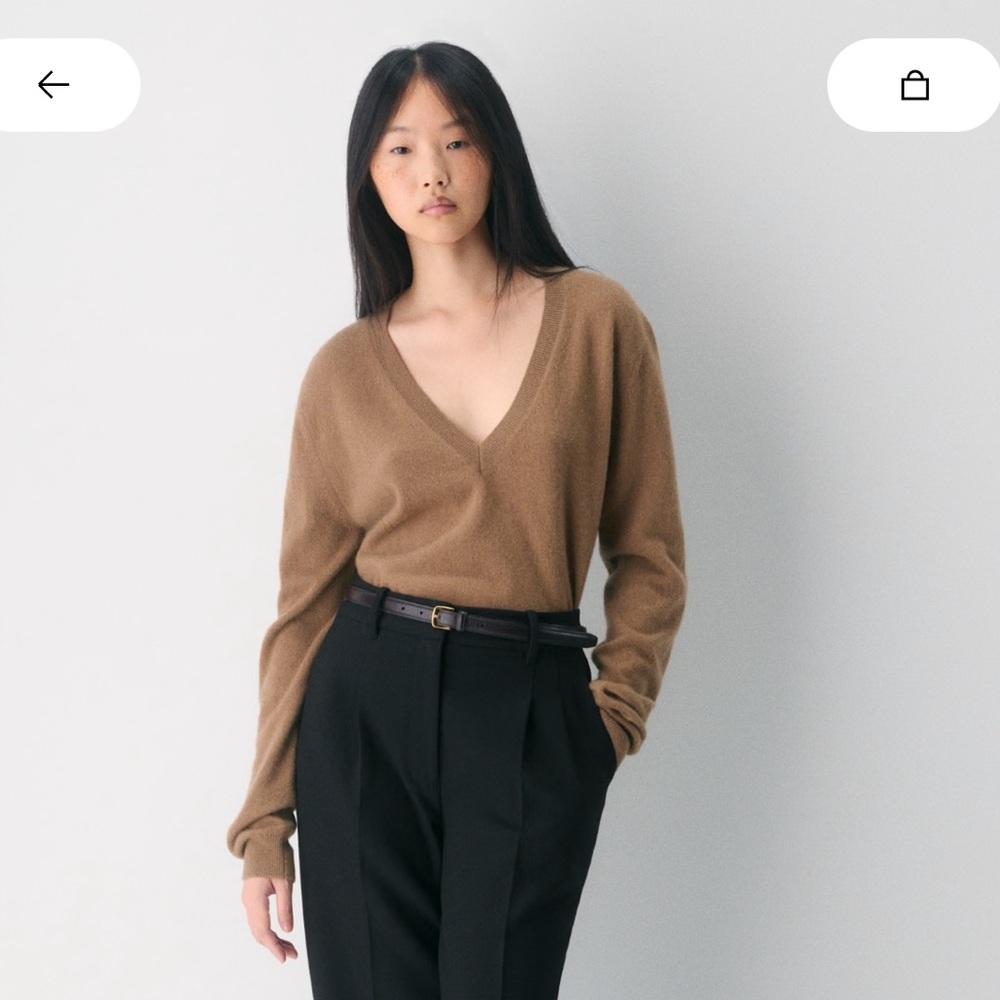 Aritzia Brown V-Neck Bare Cashmere Sweater